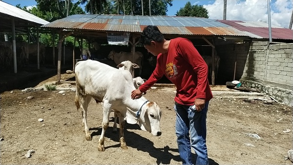 DKI Akan Berikan Surat Keterangan Sehat Bagi Hewan Kurban