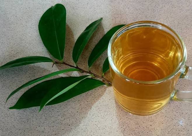 Daftar rebusan daun penurun kolesterol