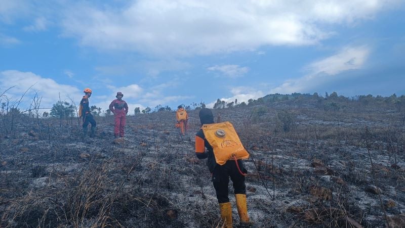 Hujan intensitas sedang hingga tinggi di Kalimantan Selatan membantu memadamkan karhutla.