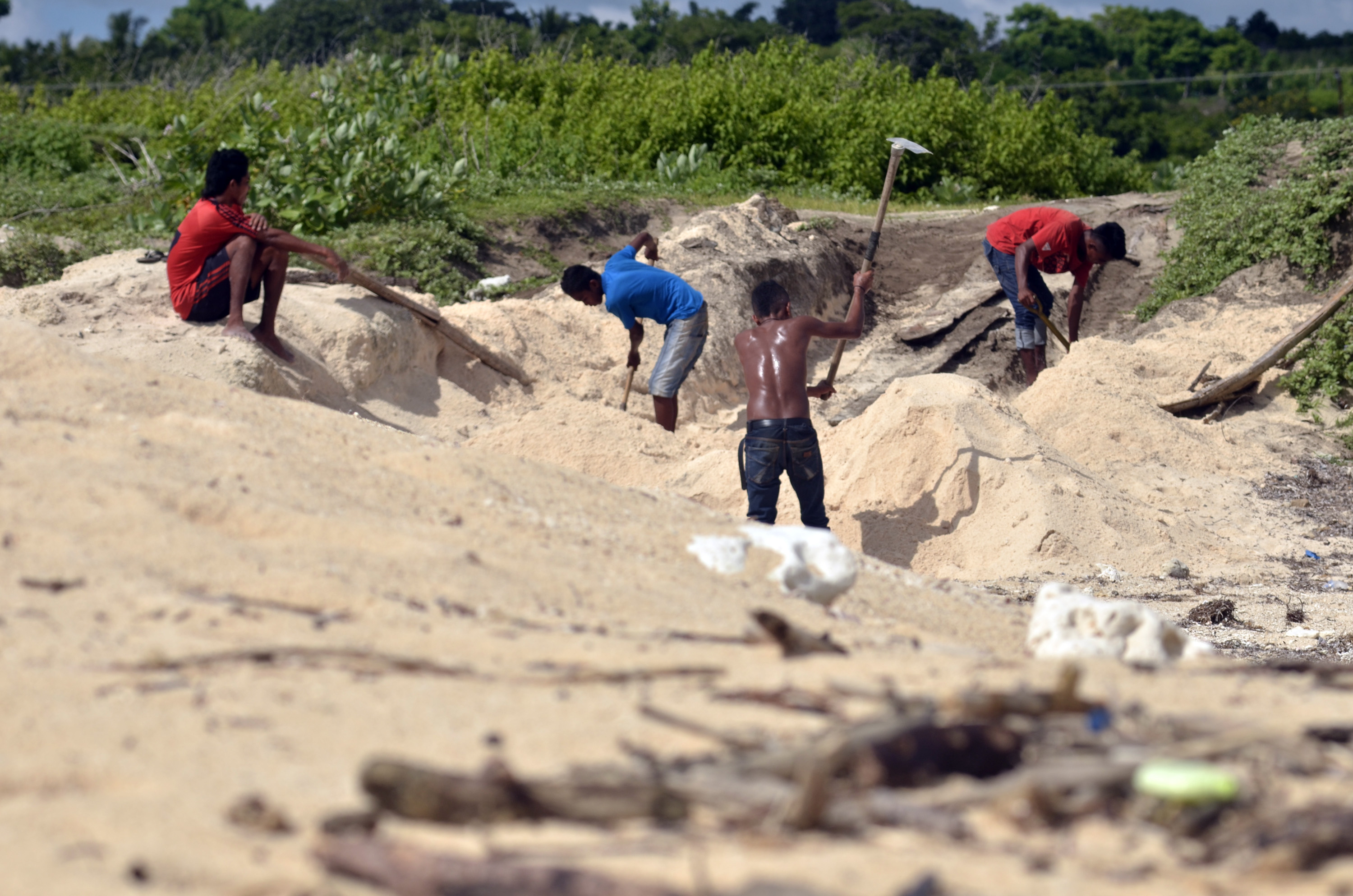 Sejumlah buruh harian melakukan penambangan pasir laut di pinggir pantai Desa Pero Bantang, Sumba Barat Daya, Nusa Tenggara Timur.
