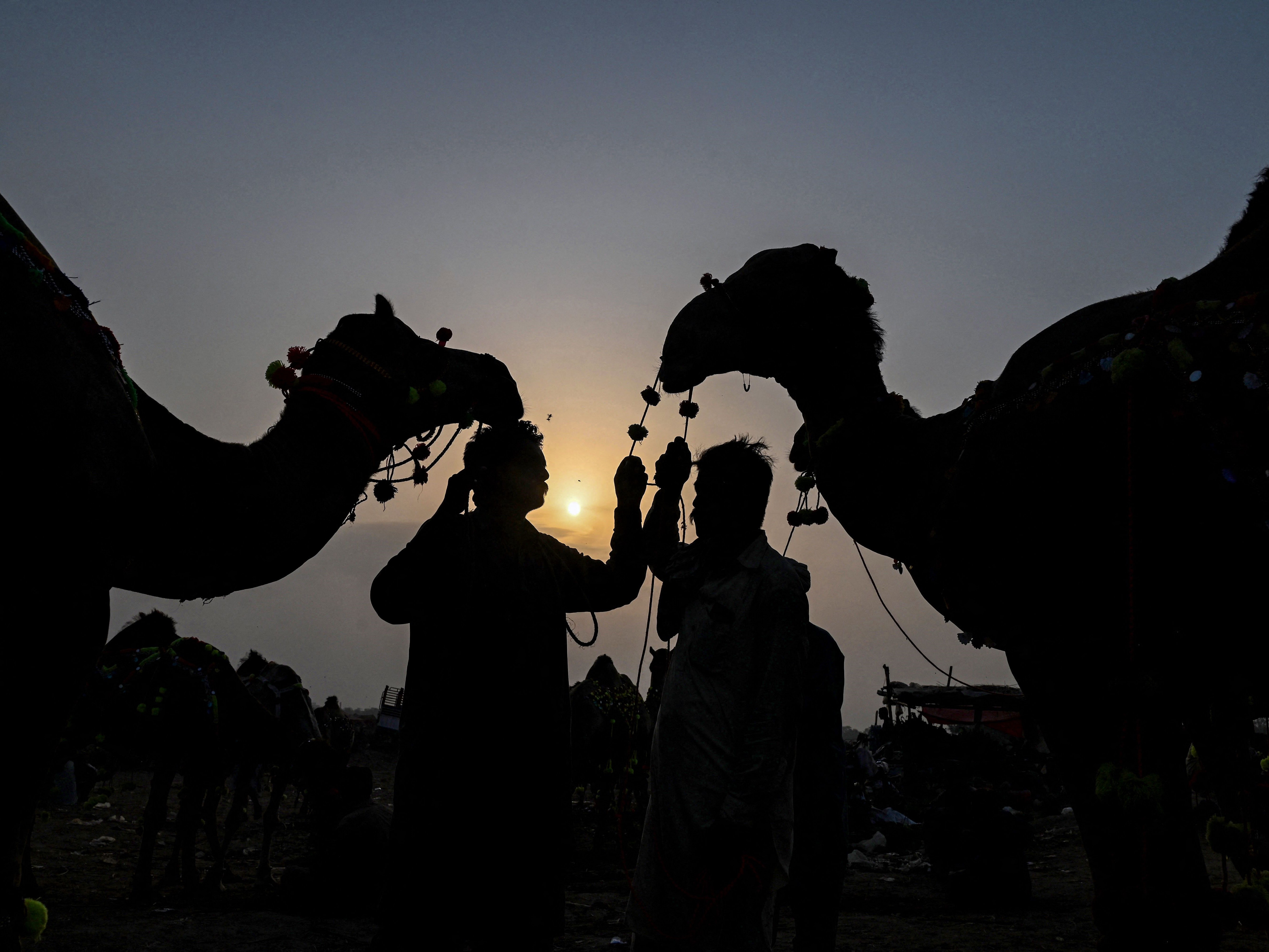 IMF dan Pakistan Capai Kesepakatan Dana US$3 Miliar