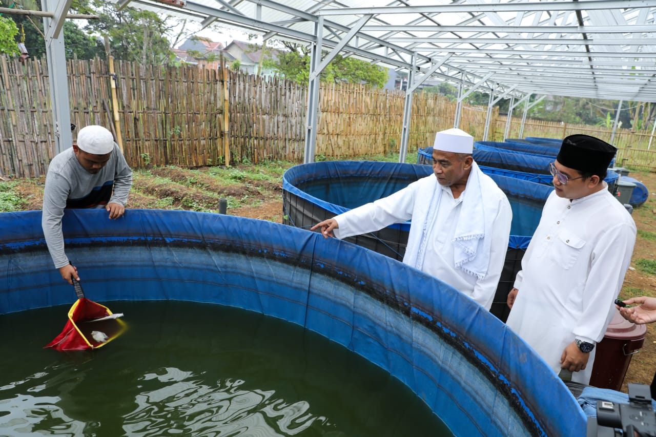 Santri Dukung Ganjar (SDG) memberikan pelatihan dan bantuan sarana prasarana budi daya nila di Ponpes Al Istiqomah, Sukabumi, Jabar. 