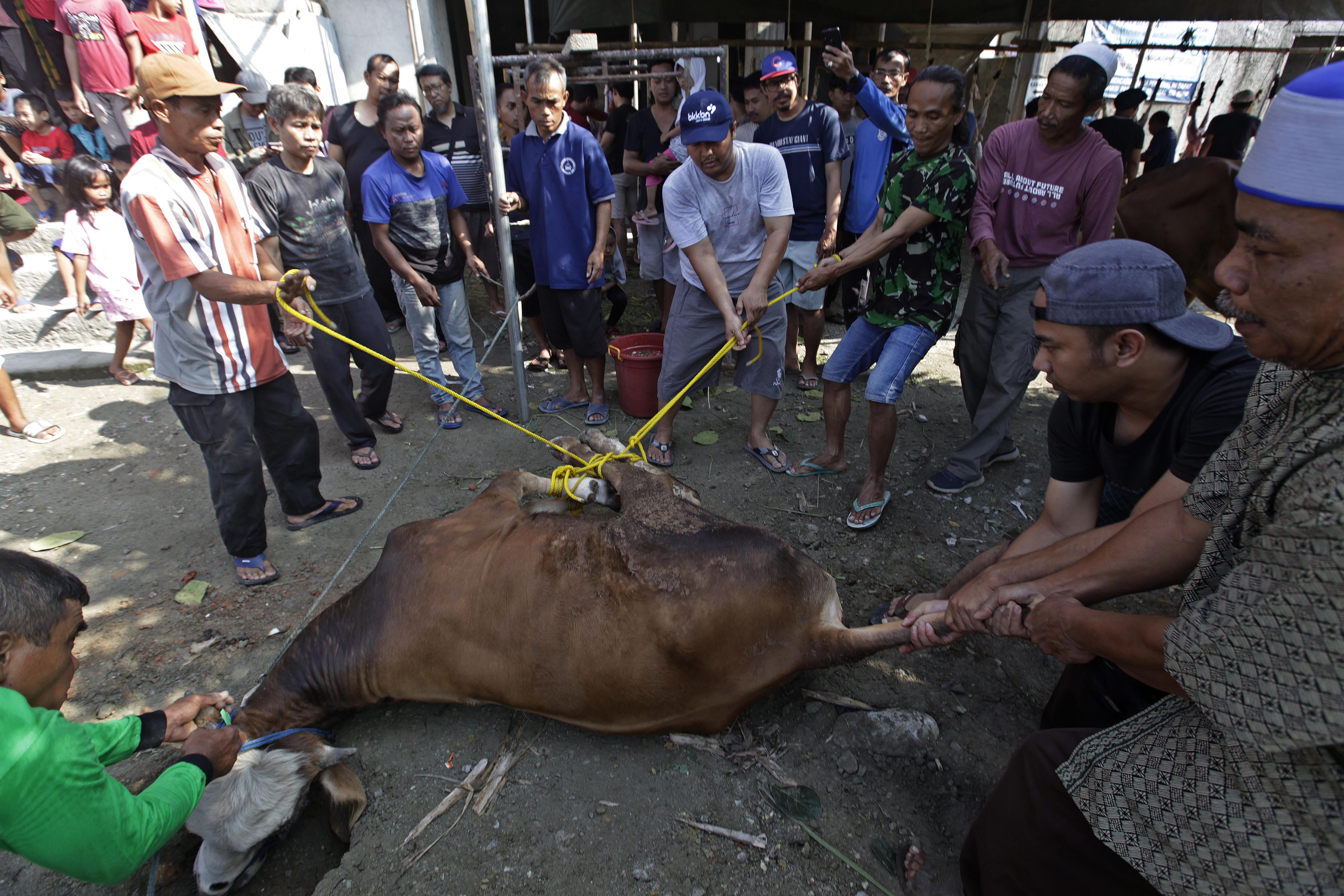 Warga DKI Diingatkan tidak Buang Limbah Kurban Sembarangan