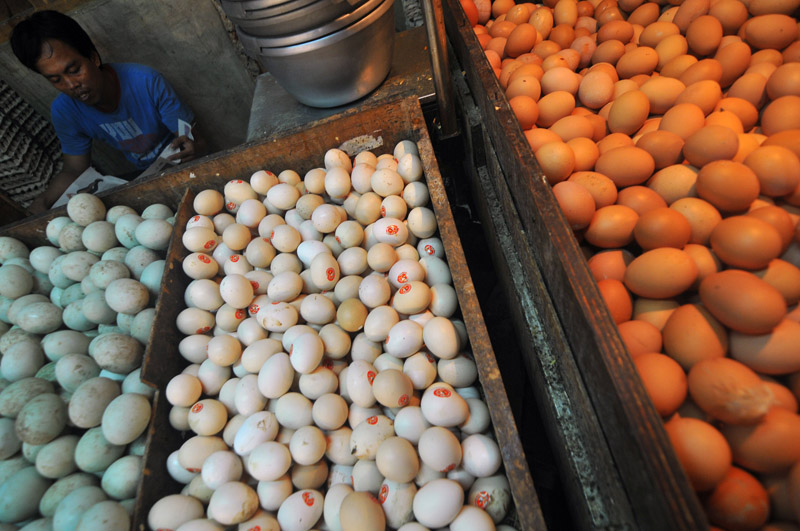 Campuran telur ayam kampung mentah dengan madu dipercaya memberikan dampak positif bagi kesehatan. Simak manfaatnya berikut.
