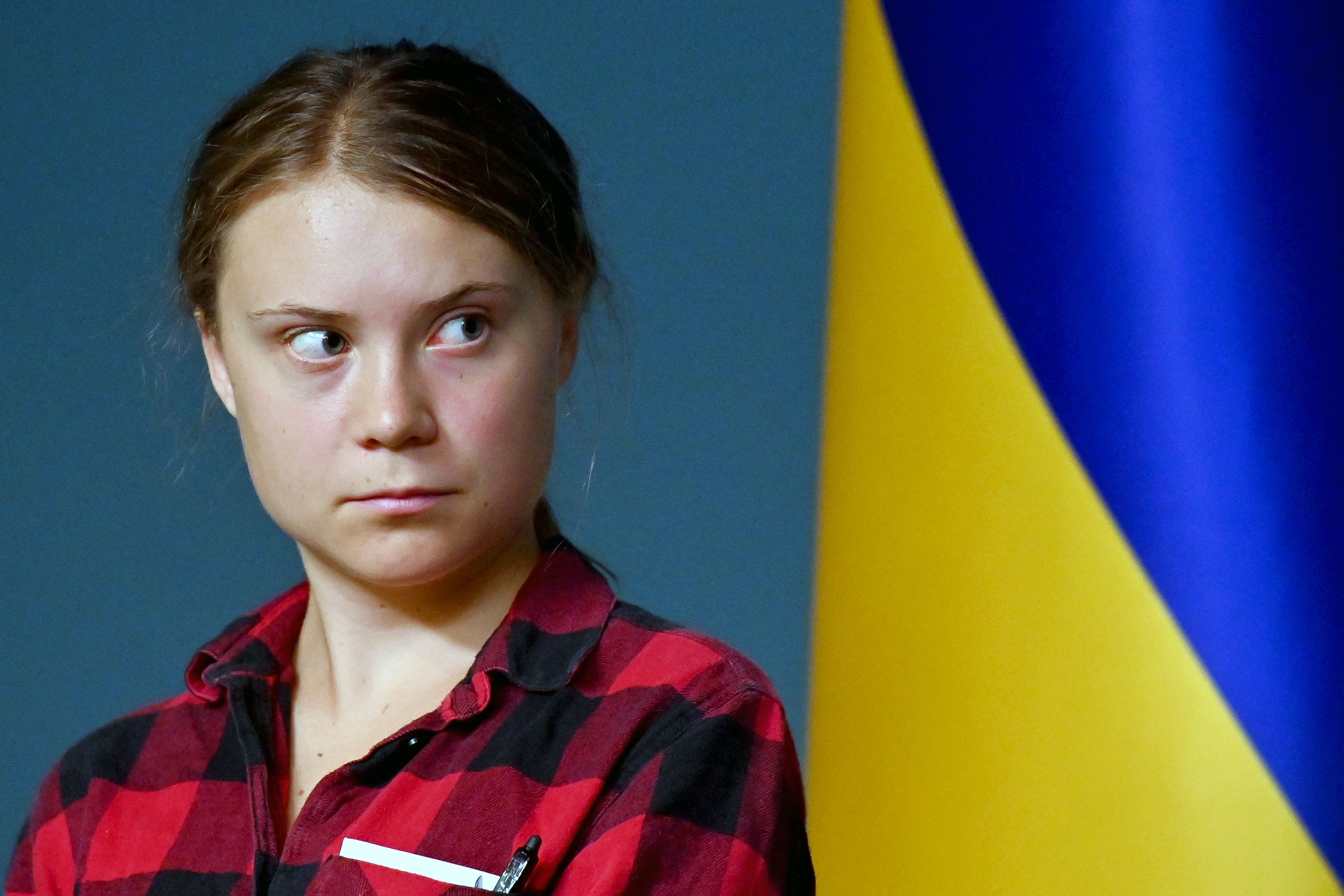 Aktivis lingkungan Greta Thunberg
