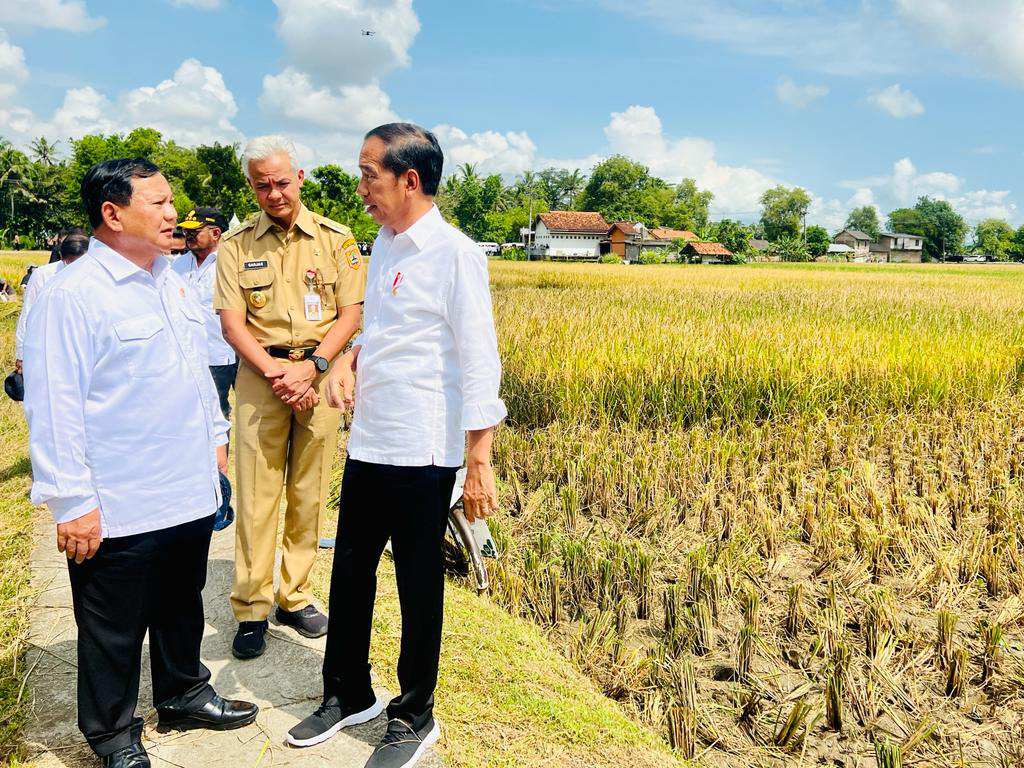 Menhan Prabowo (kiri), Gubernur Jateng Ganjar Pranowo (tengah), dan Presiden Joko Widodo saat panen padi di Jateng, Maret 2023.