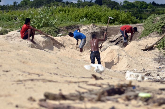 Sejumlah buruh harian melakukan penambangan pasir laut di pinggir pantai Desa Pero Bantang, Sumba Barat Daya, Nusa Tenggara Timur.