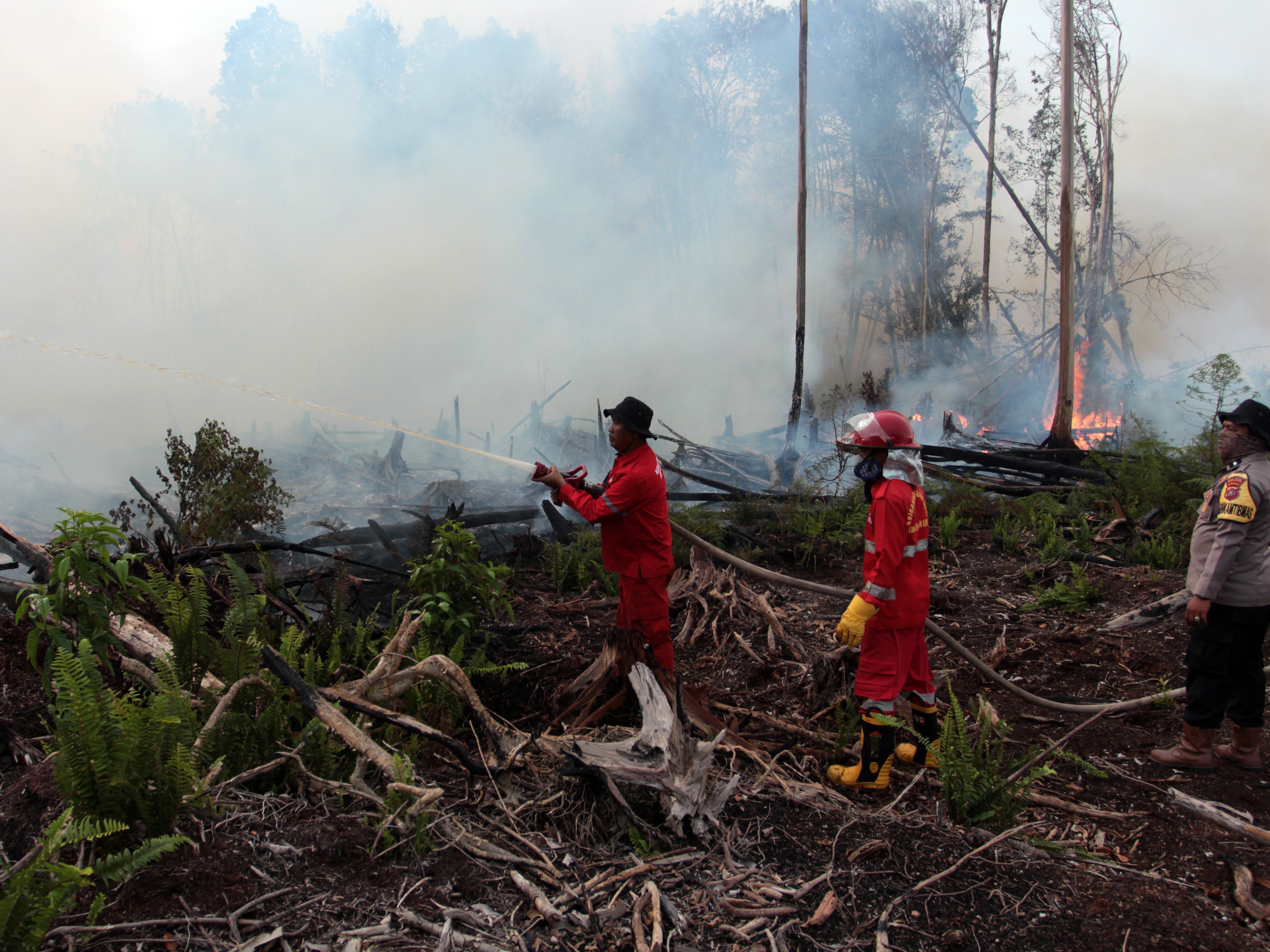 Sejumlah petugas memadamkan kebakaran hutan gambut di Kecamatan Silaut, Kabupaten Pesisir Selatan, Sumatra Barat, Jumat (26/5/2023).