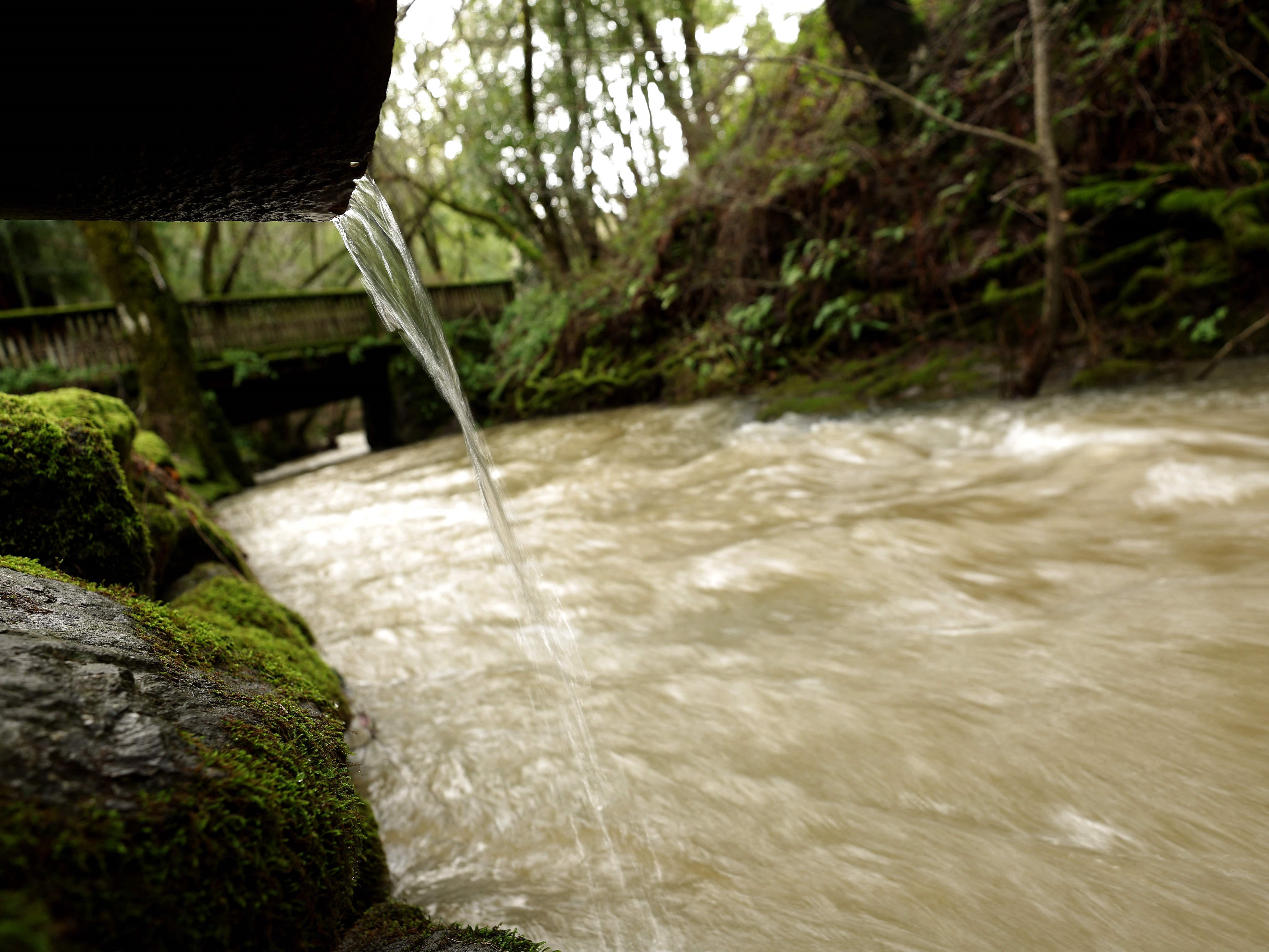 Ross Creek mengalir melalui Natalie Coffin Greene Park setelah serangkaian peristiwa sungai atmosfer yang membasahi California Utara.