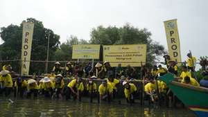 Penanaman 1.000 mangrove oleh Prodia di Muara Tawar, Bekasi.