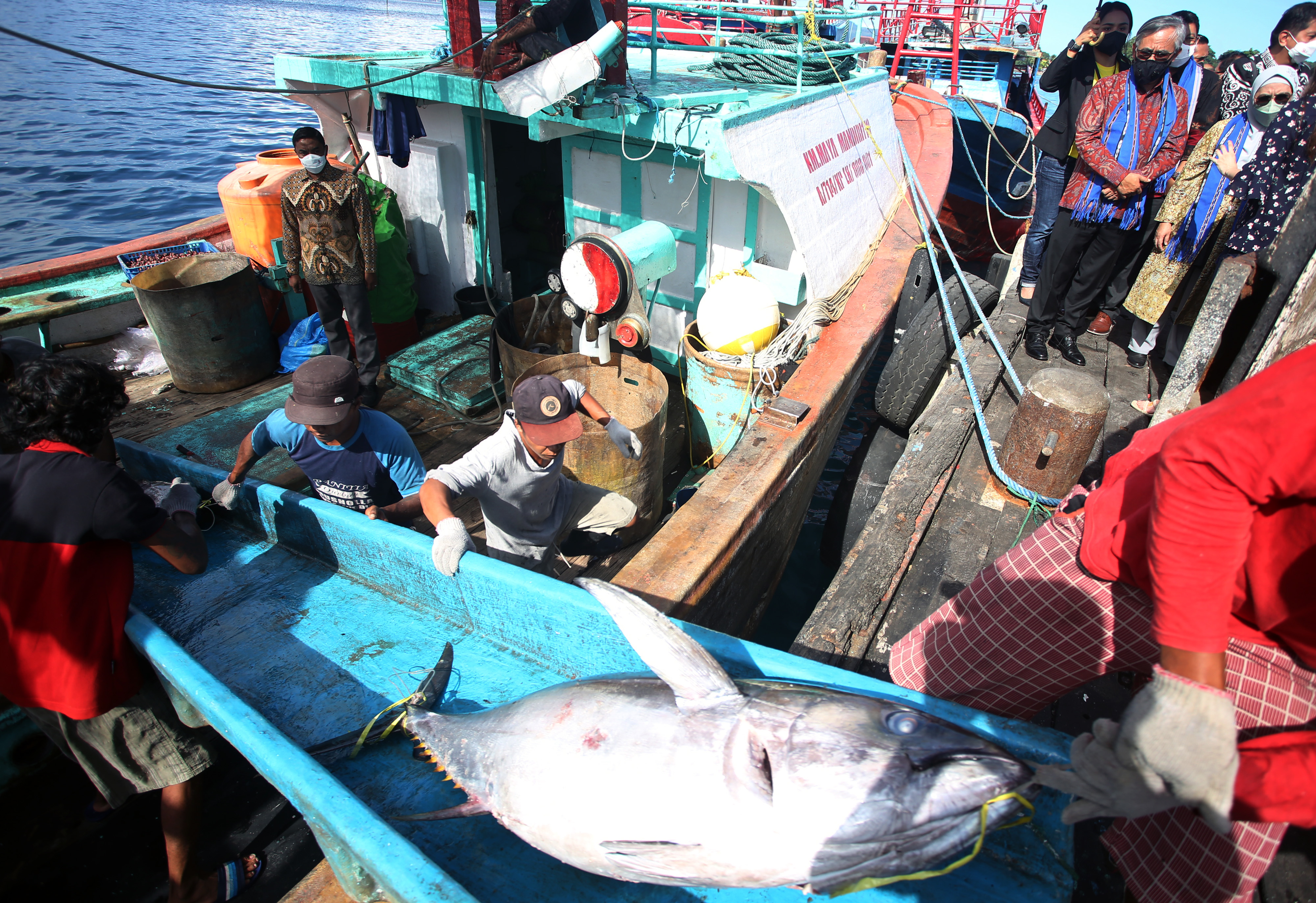Wilayah Indonesia Timur Berkontribusi Besar di Sektor Perikanan 