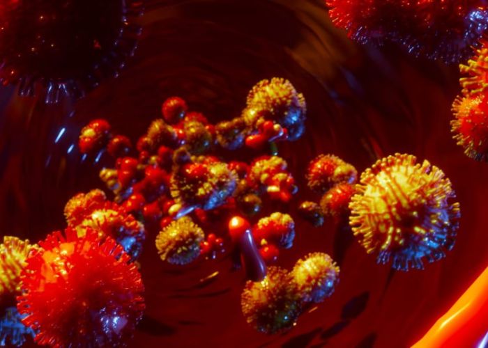 WHO Nyatakan Berakhirnya Wabah Virus Marburg di Guinea Khatulistiwa