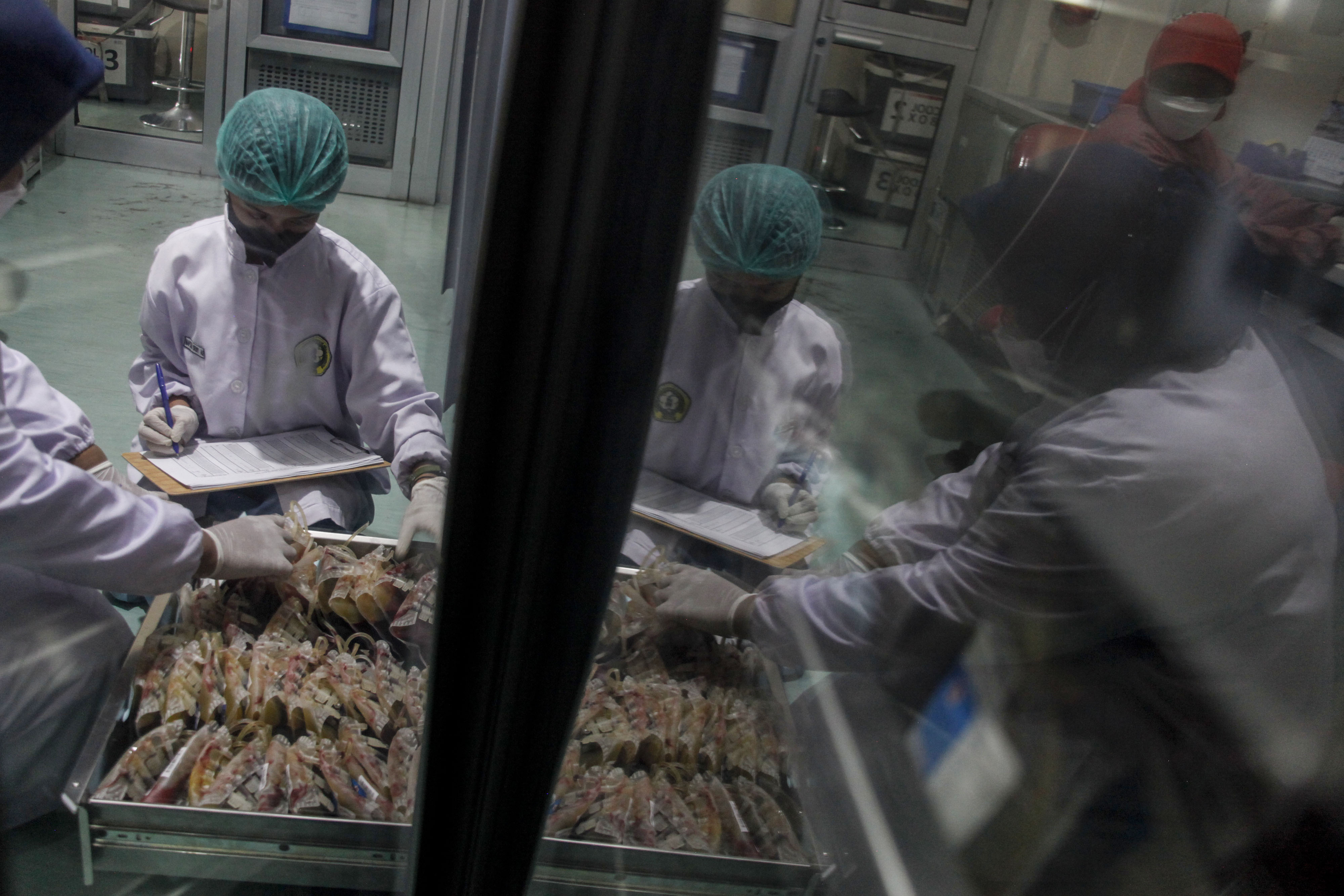 Sejumlah petugas PMI tengah melakukan pemeriksaan darah. 