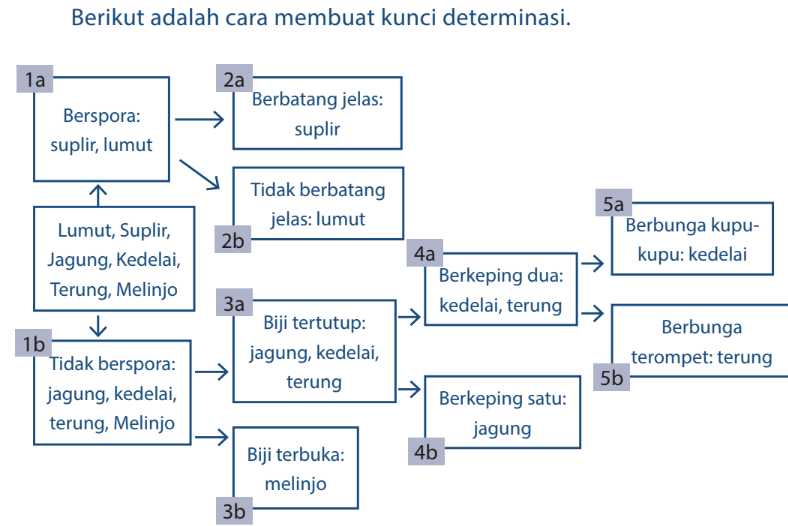 Cara Klasifikasi Makhluk Hidup Menurut Carolus Linnaeus
