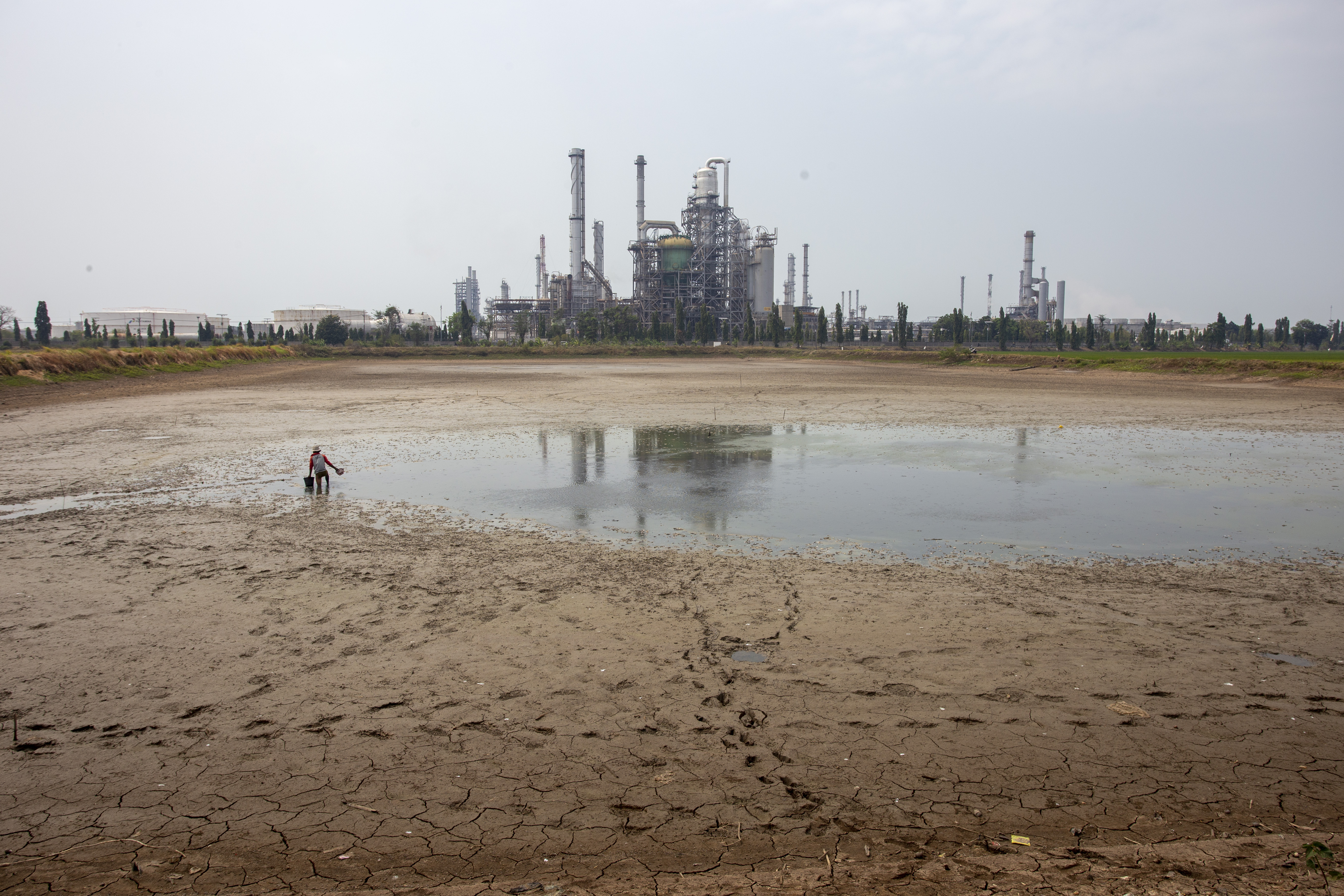 BMKG Prediksi Beberapa Wilayah Indonesia Mengalami Kekeringan Karena El Nino