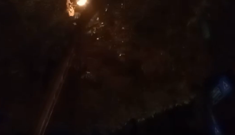 Petugas Damkar Kota Depok Evakuasi Sarang Tawon Sebesar Helm