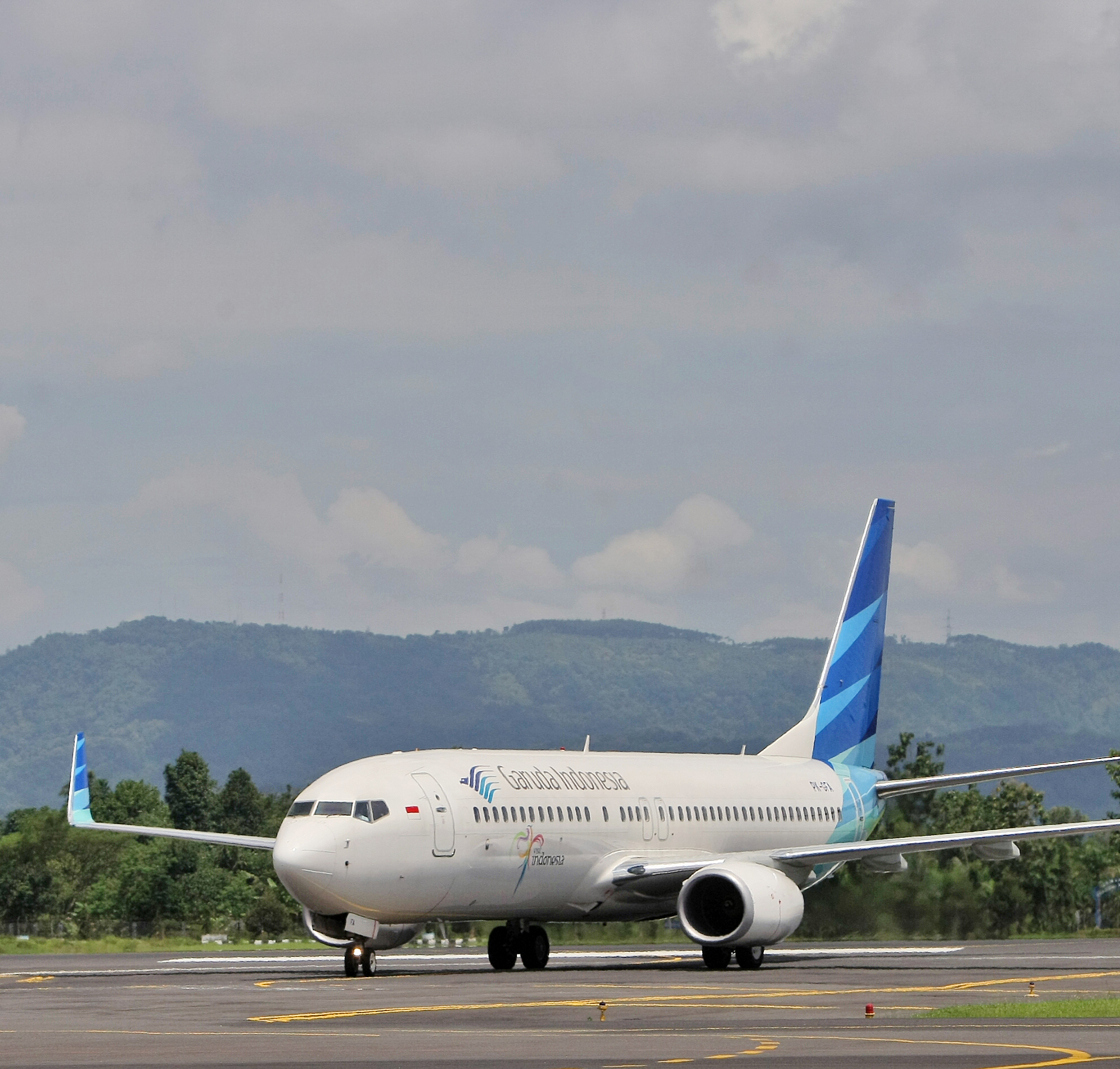 Pesawat Boeing 737-800