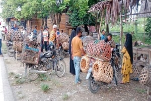 Kondisi pasar ayam kampung (ayam lokal) sepi pembeli di kawasan Keunire, Kecamatan Pidie, Aceh.