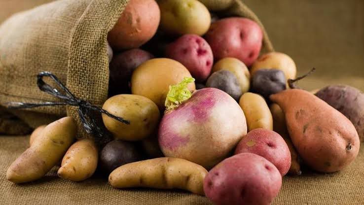 Contoh tumbuhan berkembang biak dengan umbi batang