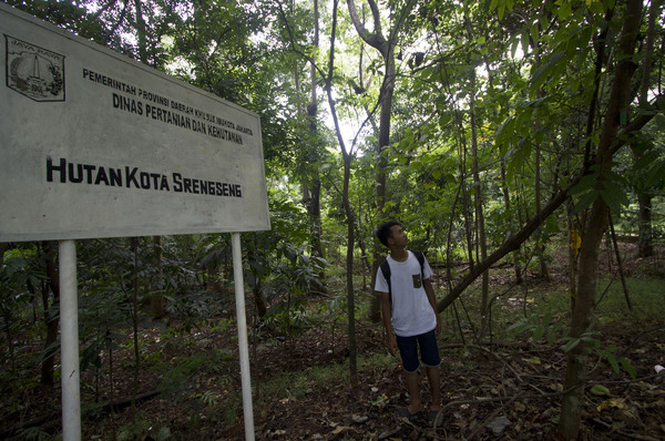 Salah satu hutan kota di DKI Jakarta, Hutan Kota Srengseng, Jakarta.