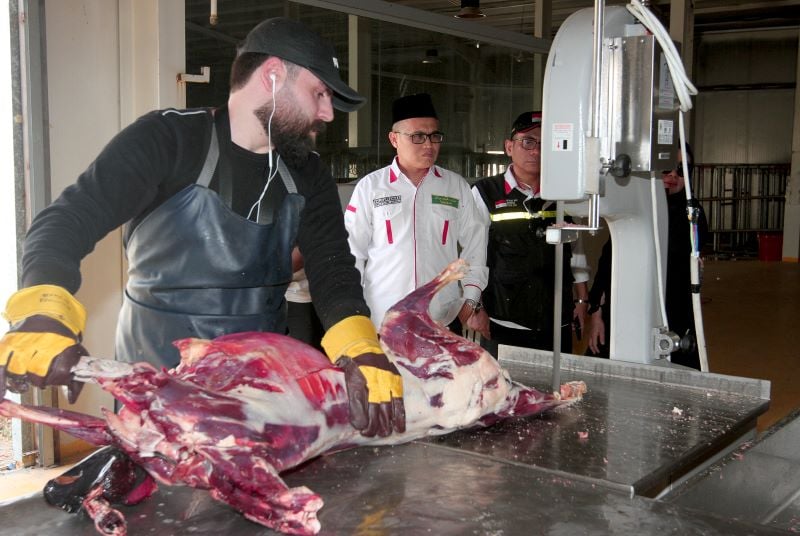 Pemotongan daging kambing dam