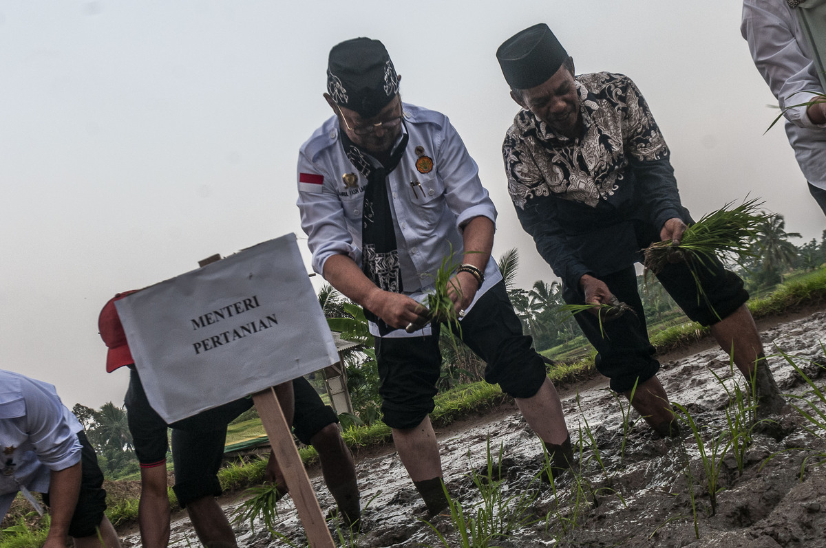 Menteri Pertanian Syahrul Yasin Limpo (kedua kanan) bersama petani menanam padi kunjungannya di Pandeglang, Banten.