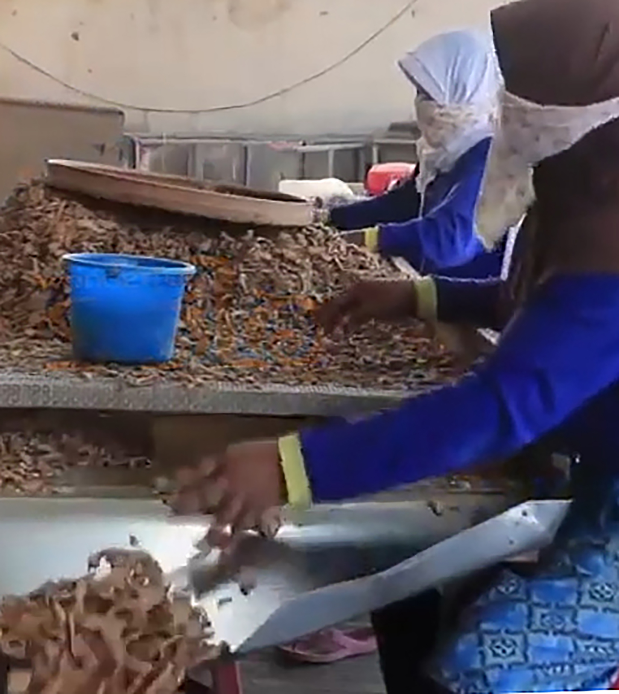 Pekerja tengah memilah rempah-rempah untuk bahan baku jamu di Nguter, Sukaharjo, Jawa Tengah