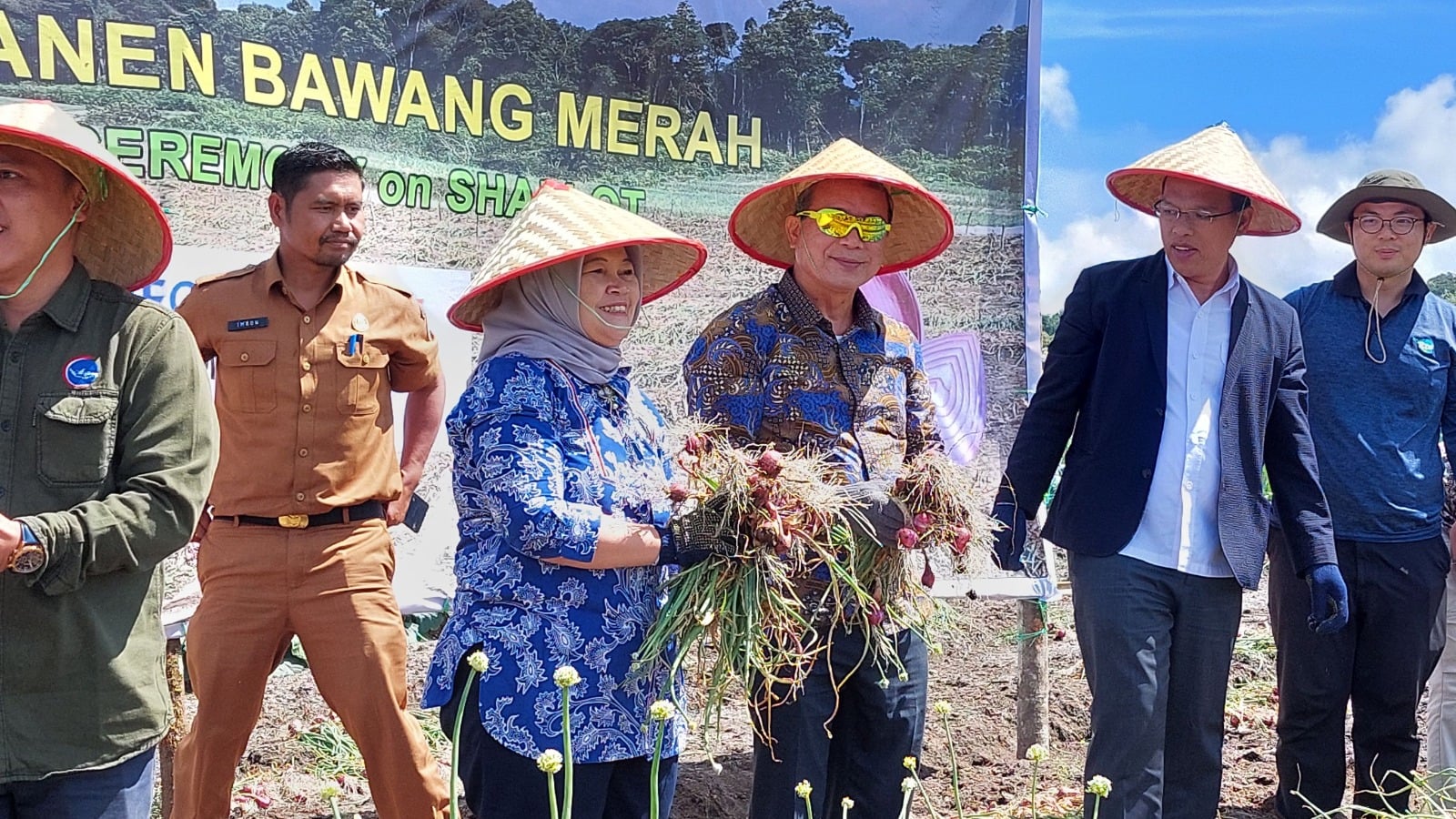 panen perdana bawang merah dan bawang putih program TETO di Sumatra Utara