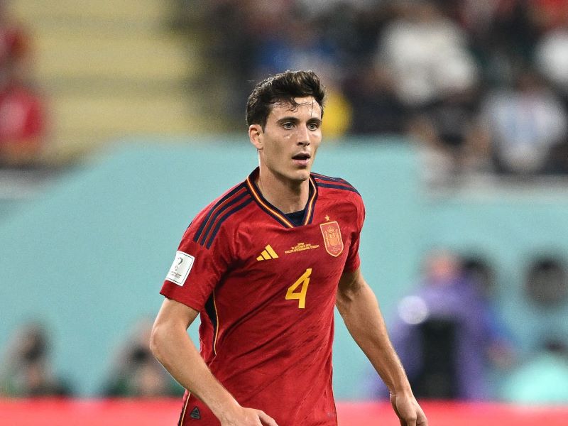Bek Timnas Spanyol Pau Torres