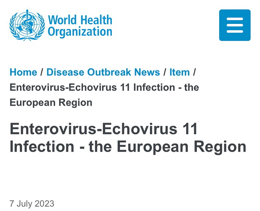 Peringatan outbreak Enterovirus-Echovirus 11 dari WHO.