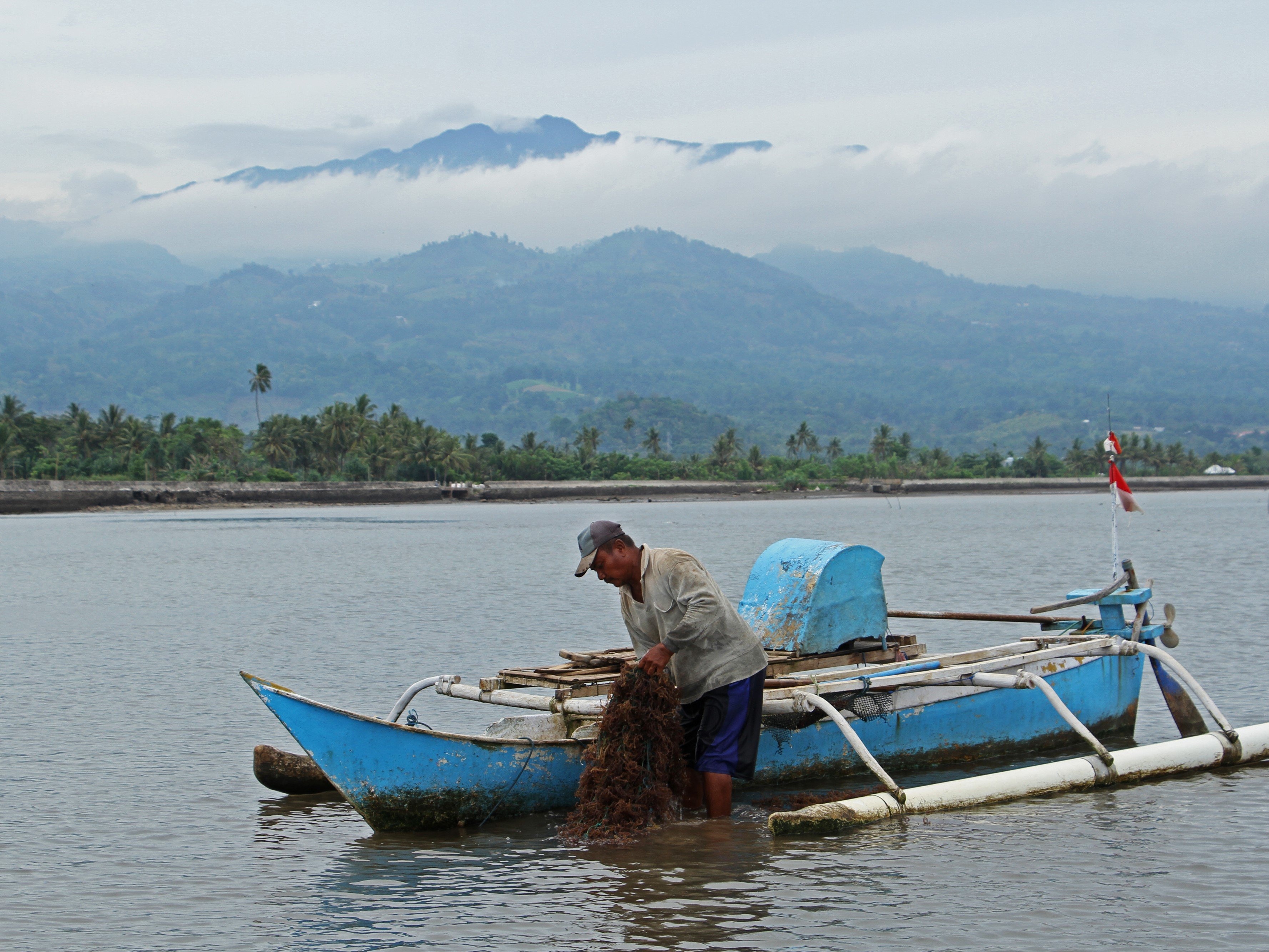 Nelayan mengangkut benih rumput laut ke atas perahu di perairan Desa Bonto Jai, Kabupaten Bantaeng, Sulawesi Selatan.