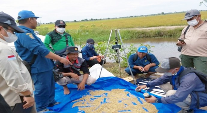 Kementan Ajak Para Petani di Banjarnegara, Jateng, Terapkan Metode Ubinan
