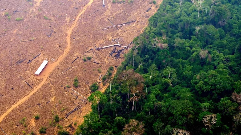 Foto deforestasi akibat pembukaan lahan dengan cara dibakar di wilayah Labrea, Negara Bagian, Amazonas, Brasil.