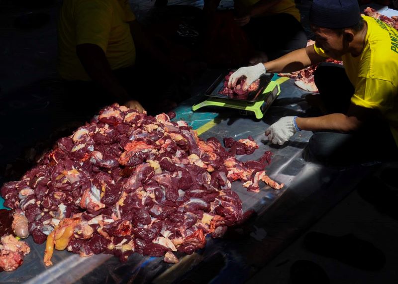 Ilustrasi pemotongan daging