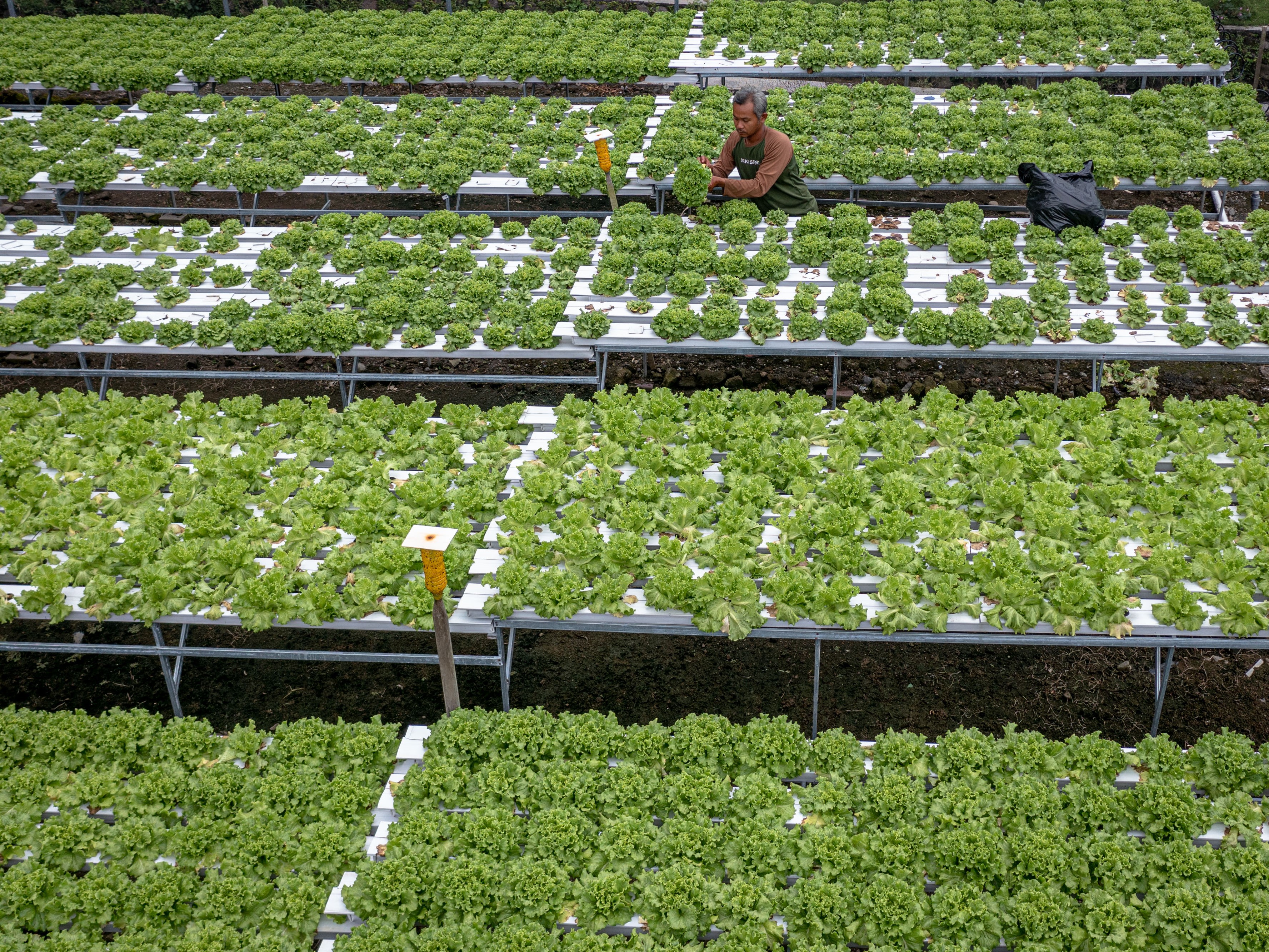 Peluang Pembentukan Pengusaha Baru Harus Konsisten Diciptakan