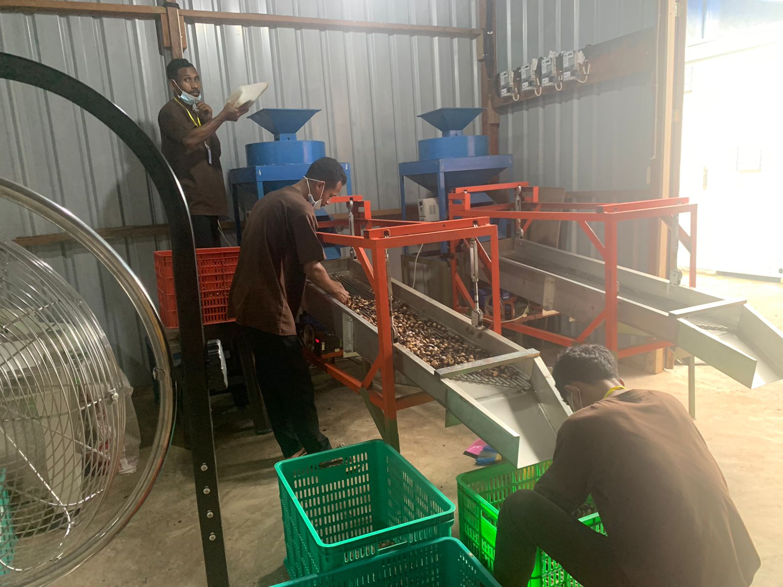 Industri pengolahan pala di Fakfak, Papua Barat