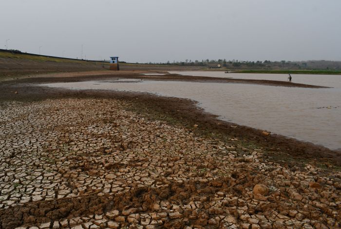 Kepala BNPB Ingatkan Pemda untuk Antisipasi Karhutla