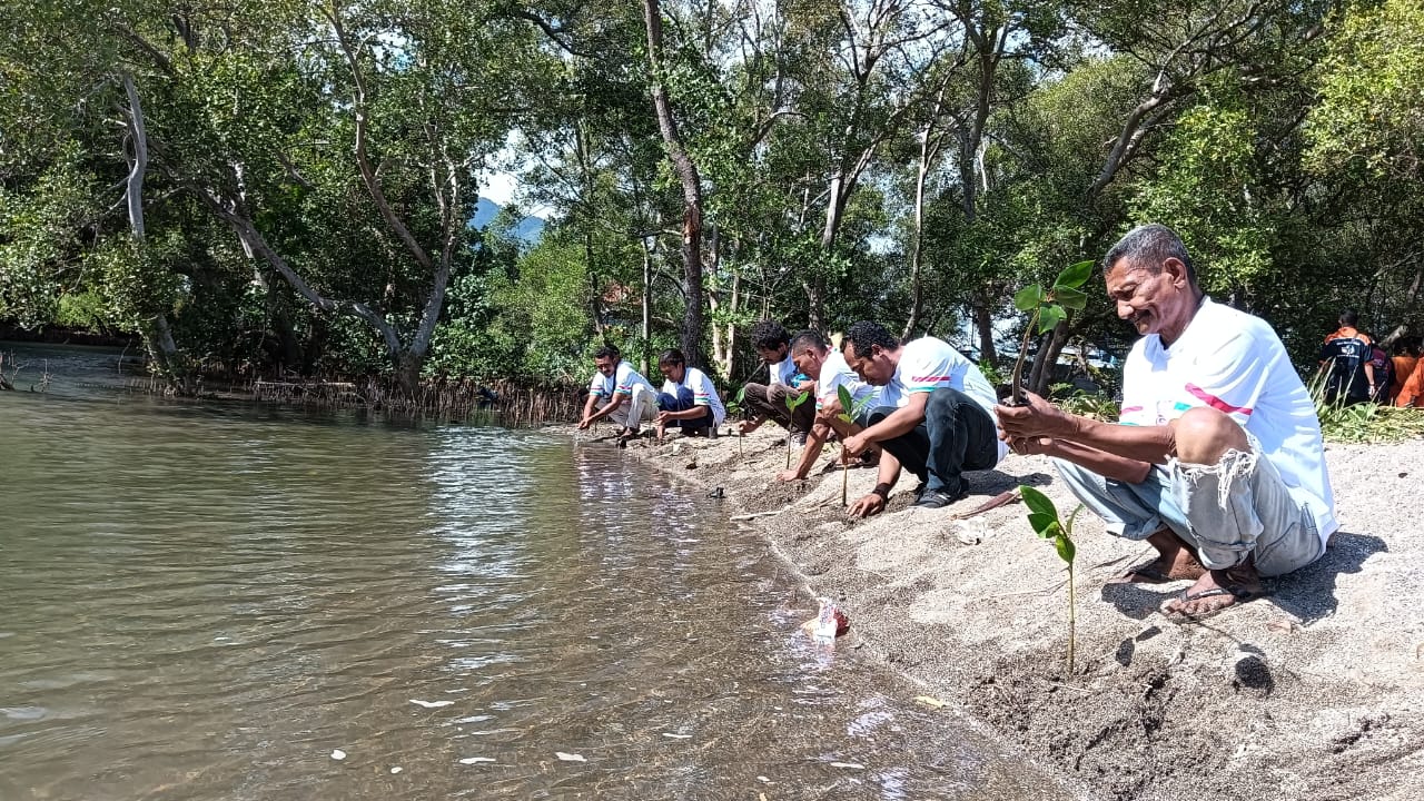 Relawan Ganjar Pranowo Sikka Lakukan Deklarasi dan Penanaman Pohon
