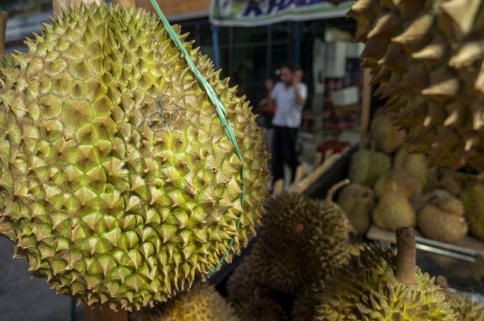 Durian Parigi Moutong.