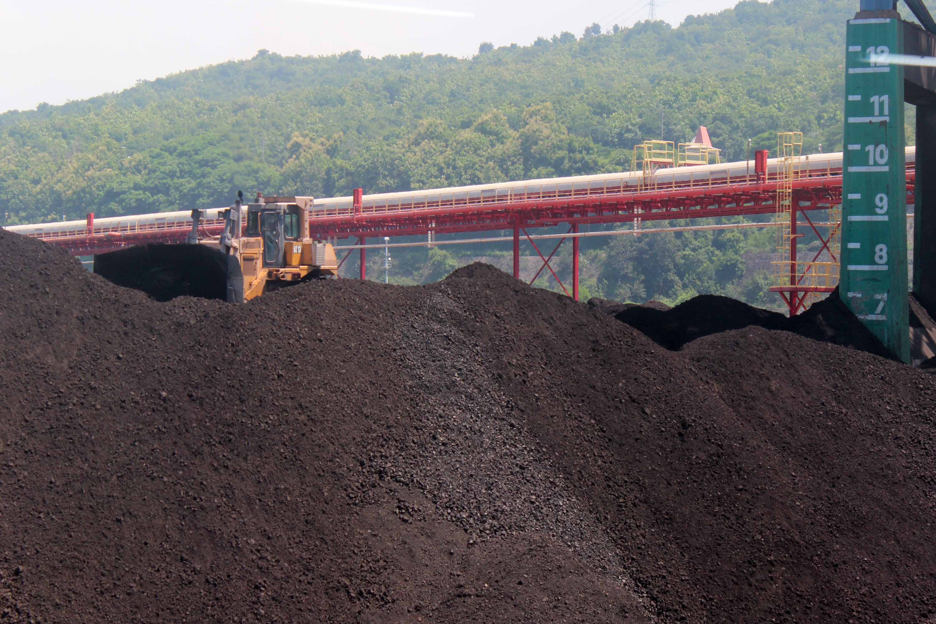 Petugas sedang mencampur batu bara dan serbuk kayu dalam program cofiring untuk bahan bakar PLTU Paiton, Probolinggo, Jawa Timur.