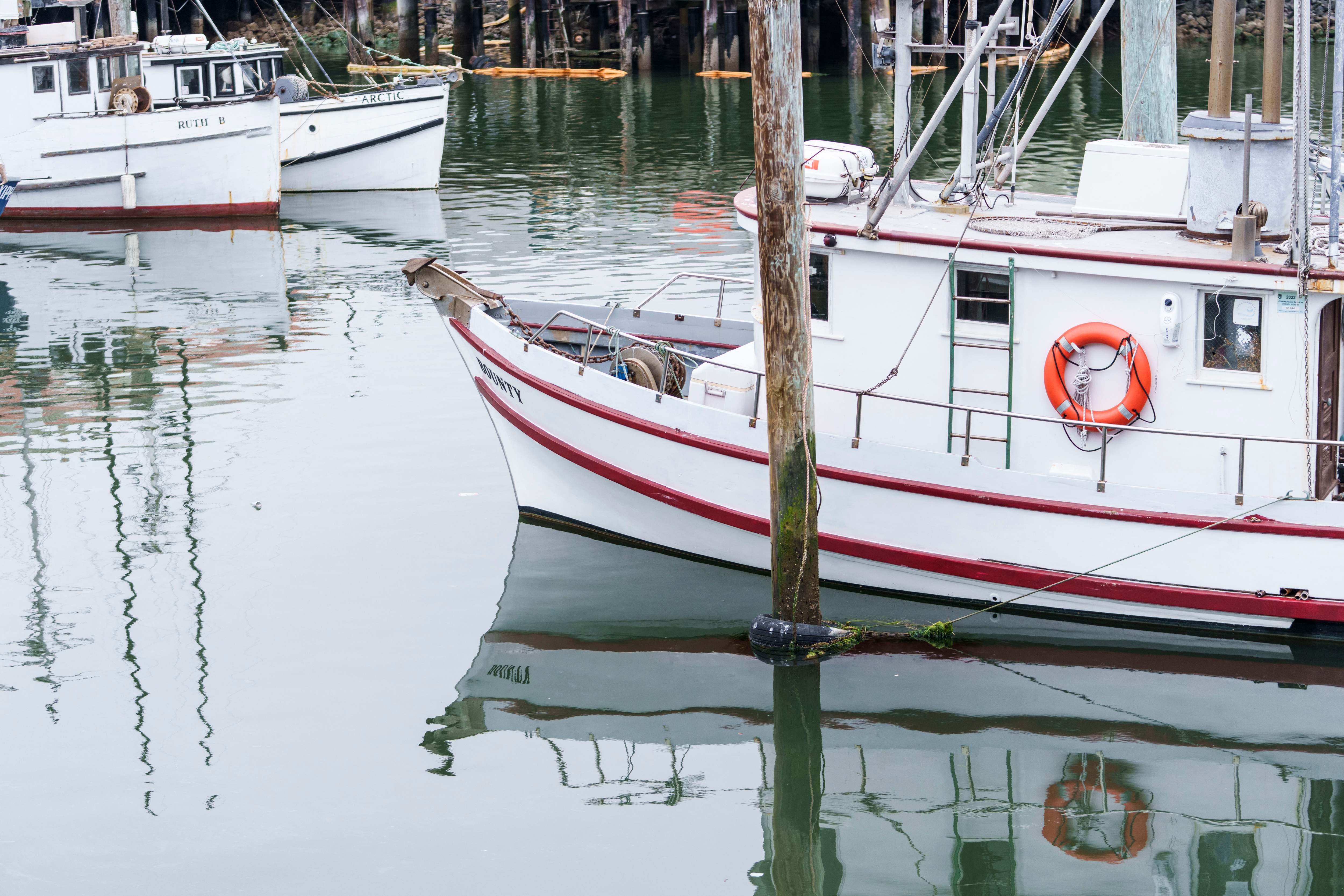 Nelayan di California dilarang menangkap ikan Salmon karena kekeringan sampai dengan September mendatang