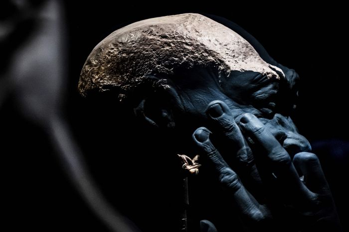 Fosil Homo Erectus (Manusia Jawa) temuan Eugene Dubois pada 1891 silam yang disimpan Belanda di Museum Naturalis. 