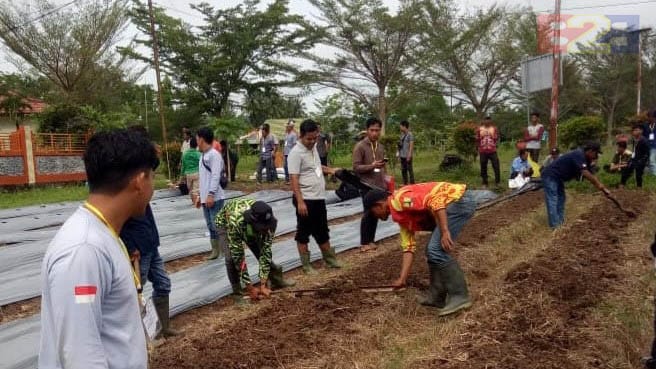 Kegiatan bimbingan teknis budi daya tanaman cabai bagi wirausaha pemula di Kalimantan Selatan. 