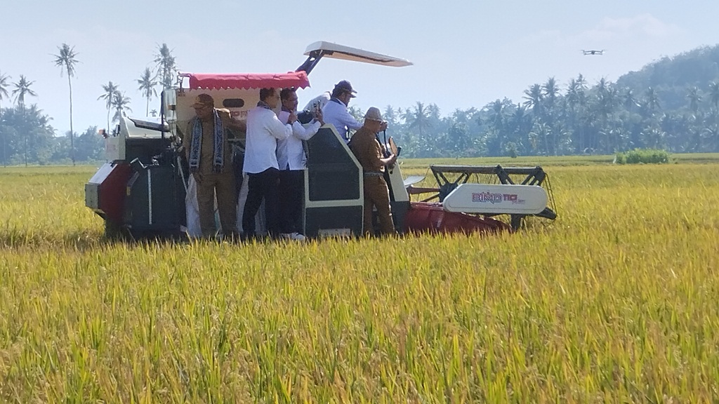 Hadapi El Nino, Mentan Dorong Daerah Siapkan Lumbung Pangan