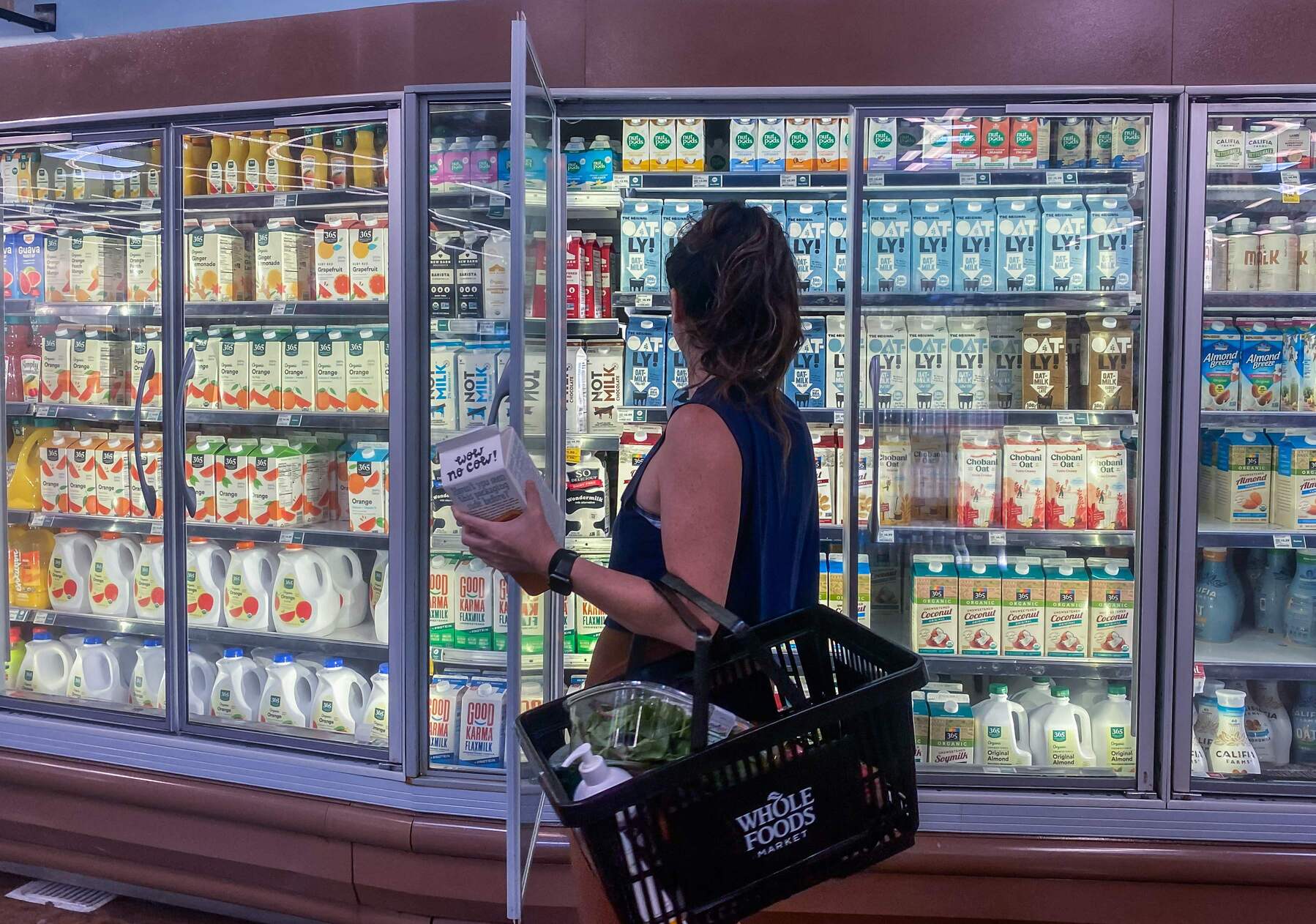 Ilustrasi masyarakat memilih susu oat sebagai pengganti susu sapi.