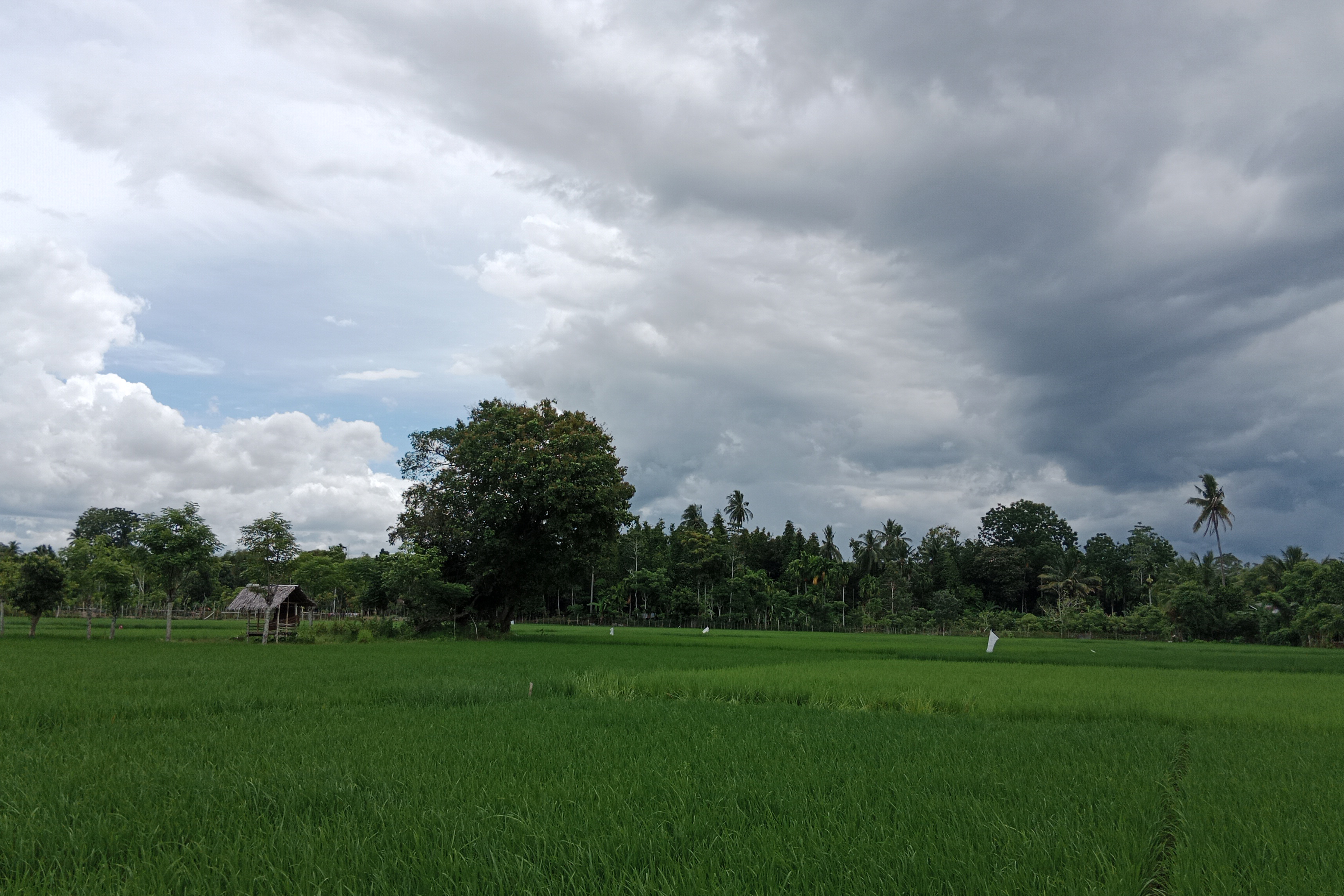 Langit berawan di Kabupaten Pidie, Aceh, Jumat (30/6).