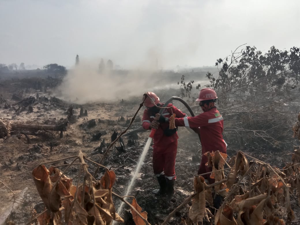 BMKG Peringatkan Potensi Kebakaran Hutan Akibat El Nino