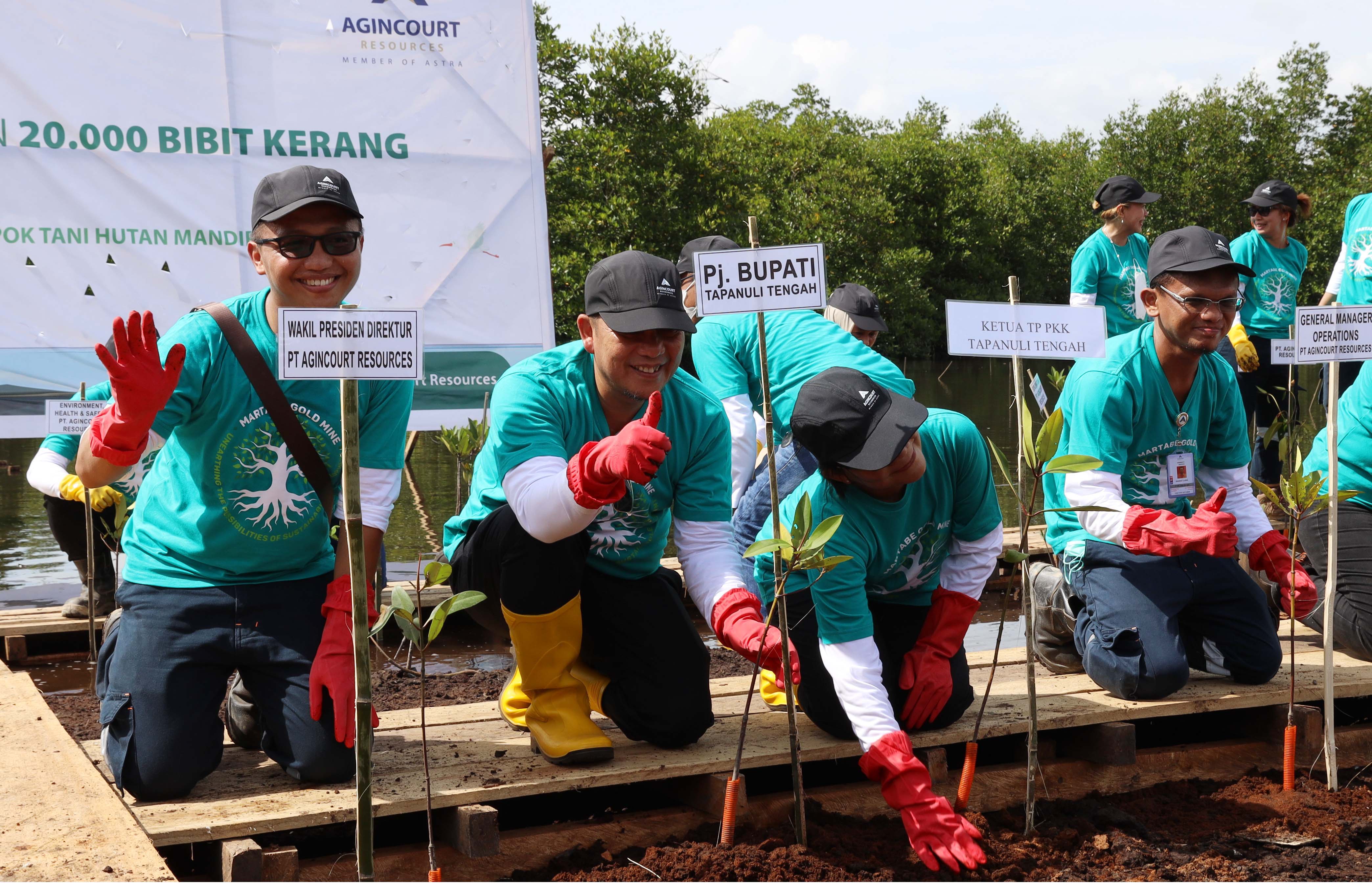 Direksi PT Agincourt Resources melalukan penanaman mangrove dalam rangka pelestarian wilayah pesisir di Tapanuli Tengah, Sumatra Utara