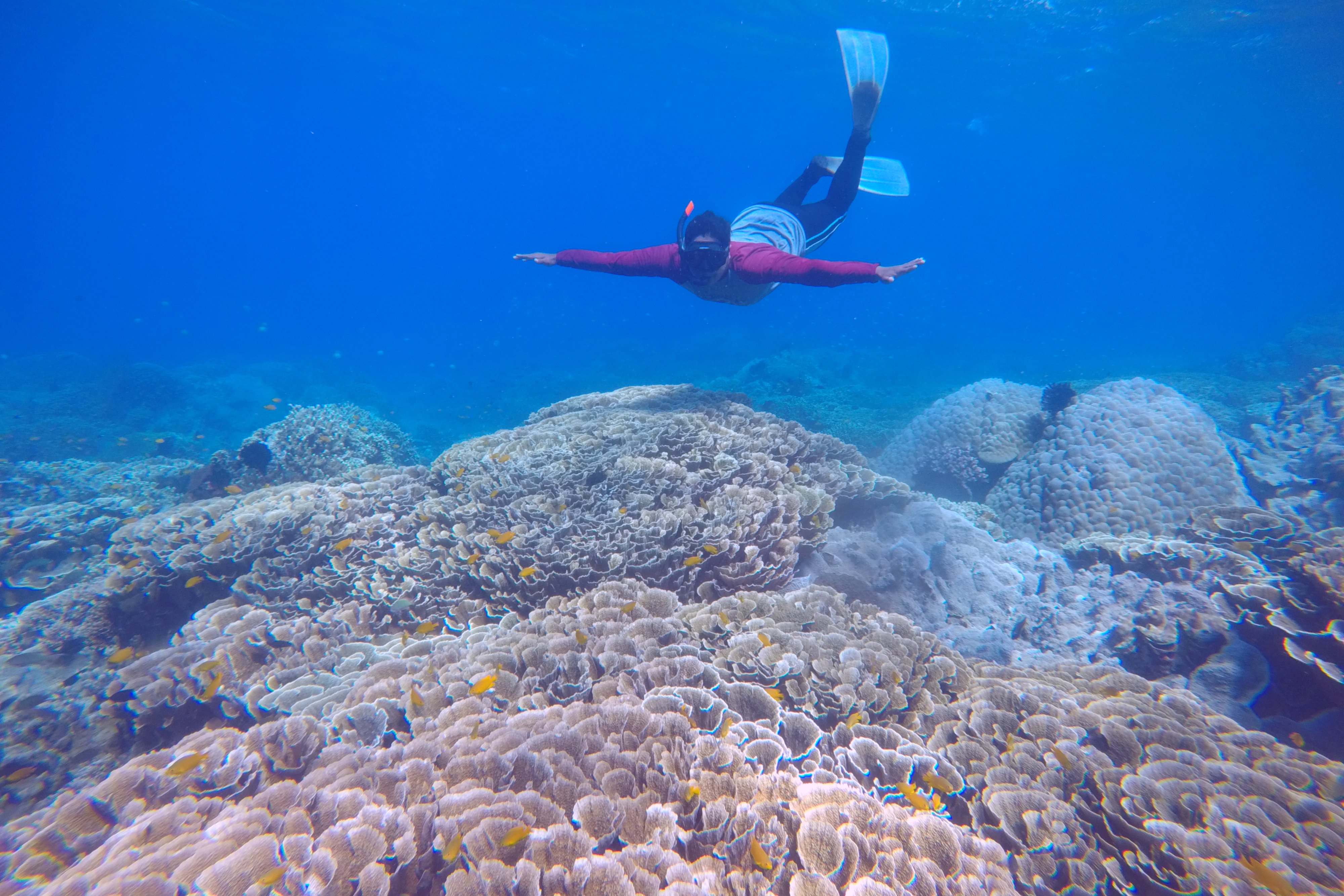  Pengunjung menikmati keindahan bawah laut di Grand Watudodol, Banyuwangi, Jawa Timur, Minggu (3/10/2021).