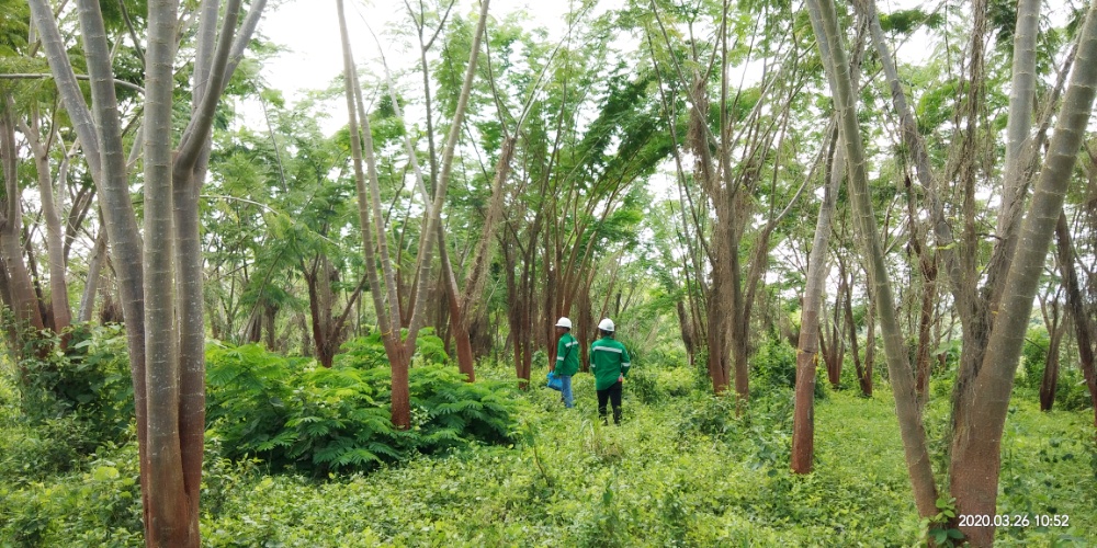 ABM Investama Sabet Penghargaan Platinum Plus dalam Penerapan ESG